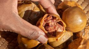 A hideg évszakok gyümölcse, a naspolya