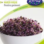 Vöröskáposzta csíráztatásra 15 g  termék képe