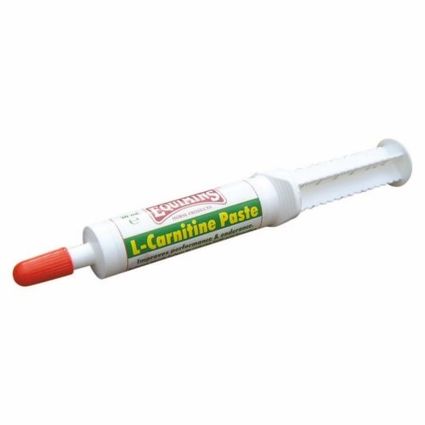 EQUIMINS L-CARNITINE SYRINGE  – L-karnitin paszta 30 ml