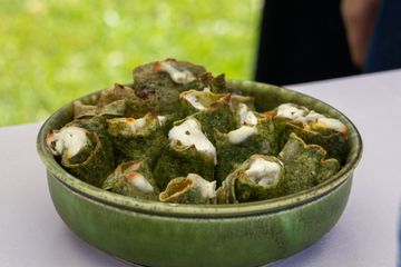 Vonyarcvashegy