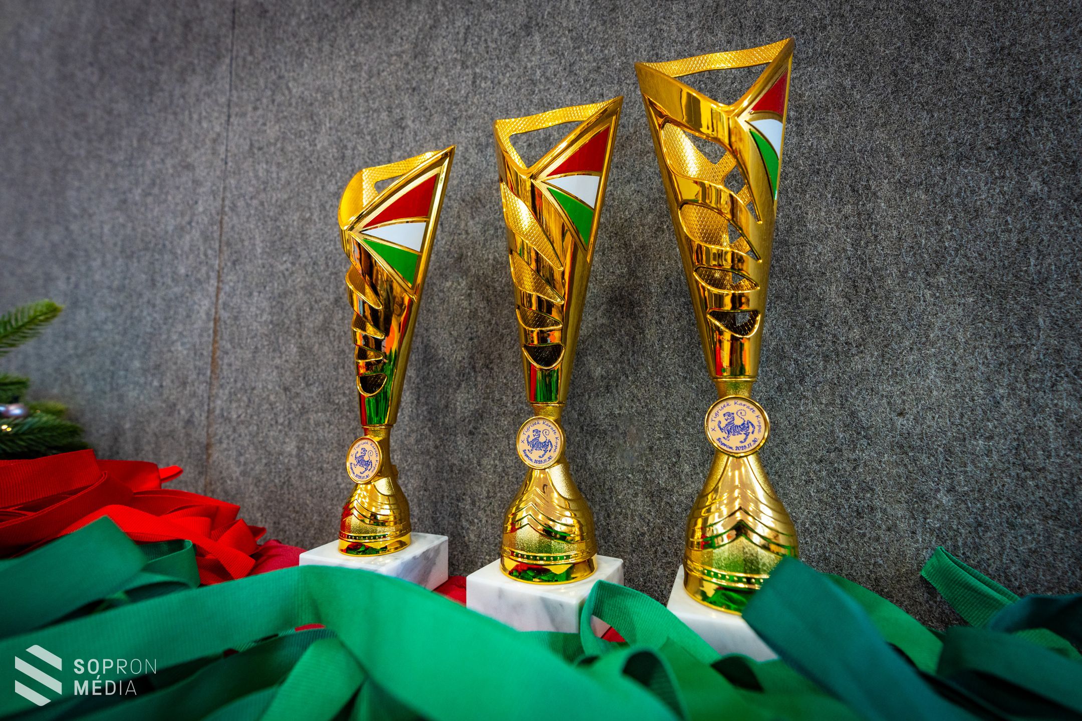 Megtartották a jubileumi 10. Tigrisek Karate Kupát