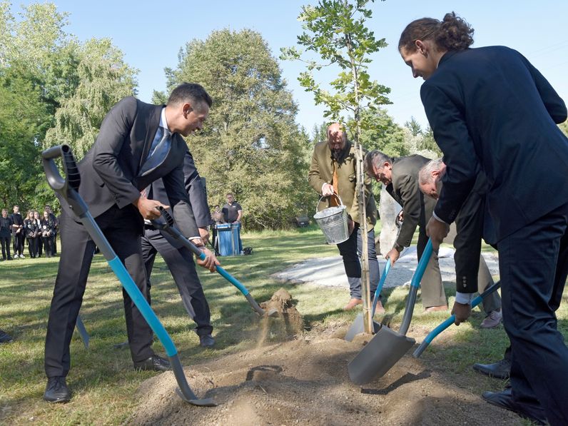 Elültették a Hűségerdő első fáját