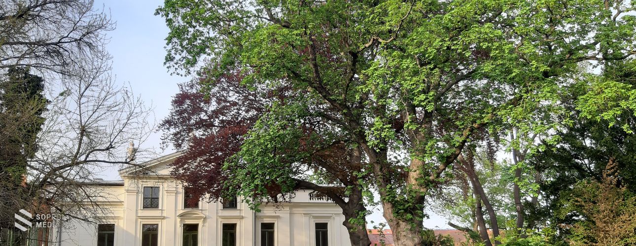 Nyári lakból kultúrpalota: fejezetek a Lenck-villa történetéből