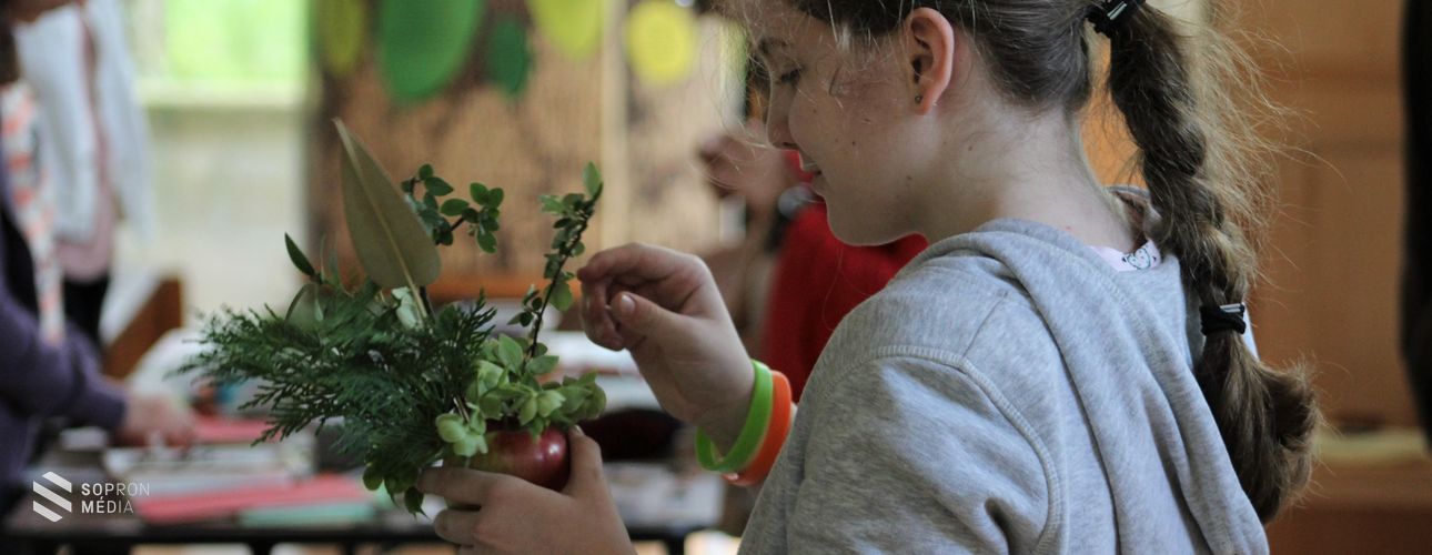 Az arborétumok napját tartották a Ligneumban