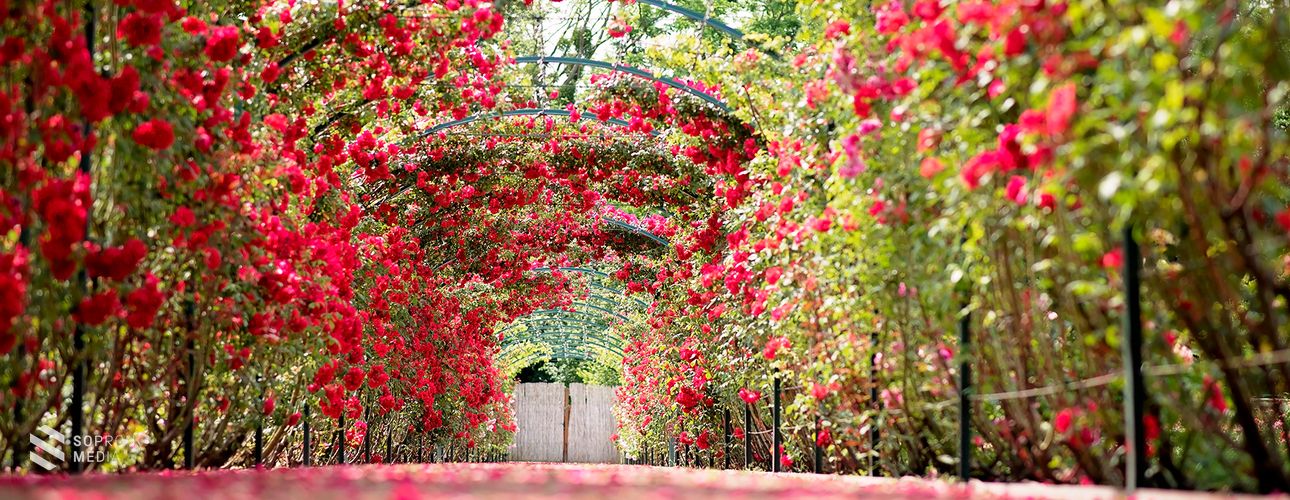 LégyOtt a kertben - Eszterházán is!