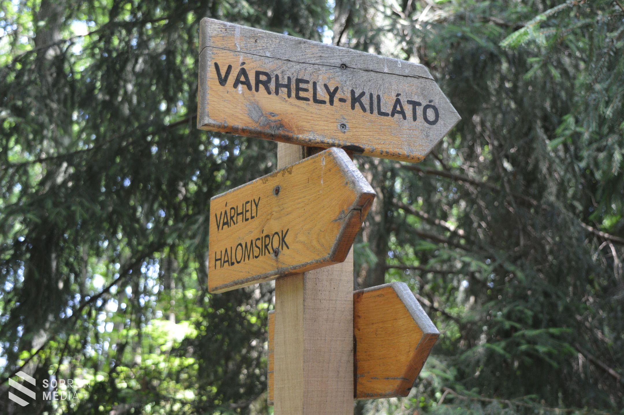 Megelevenedett a kelta kultúra