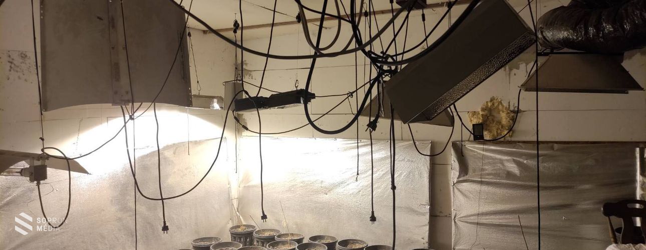 A karácsonyi amfetamin-csomag célba ért 