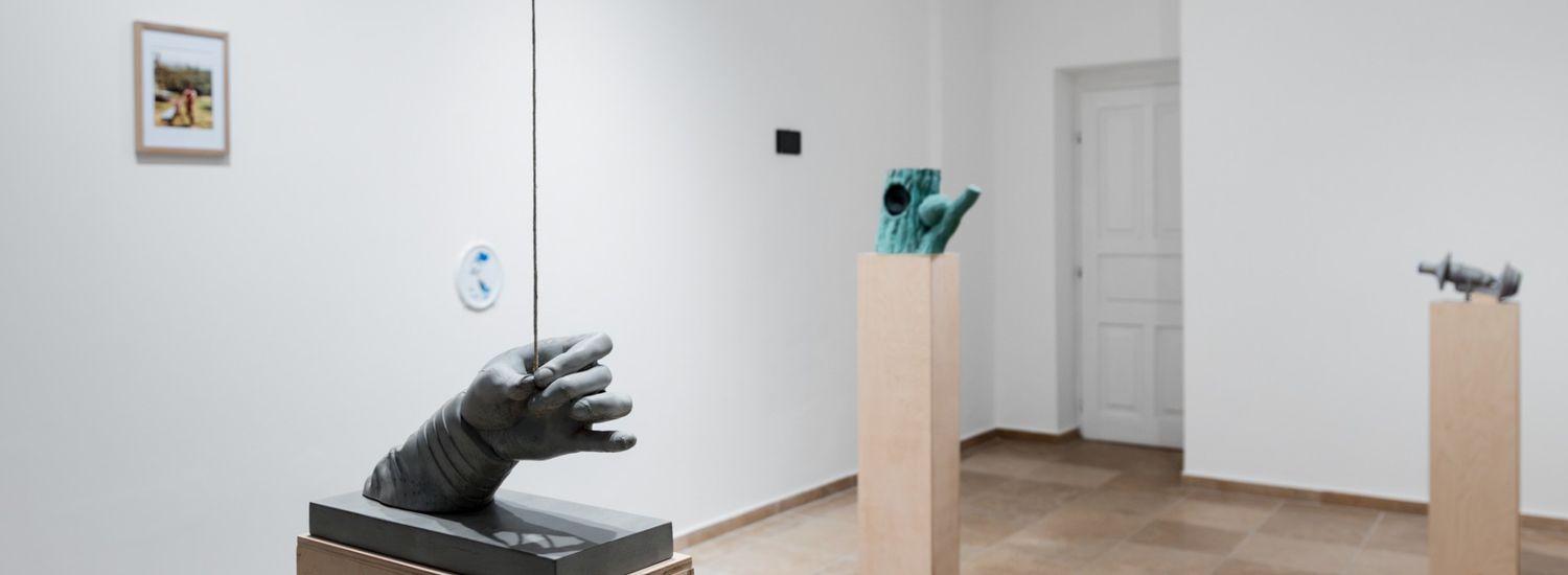 Horváth Csaba Árpád- Hosszú búcsú