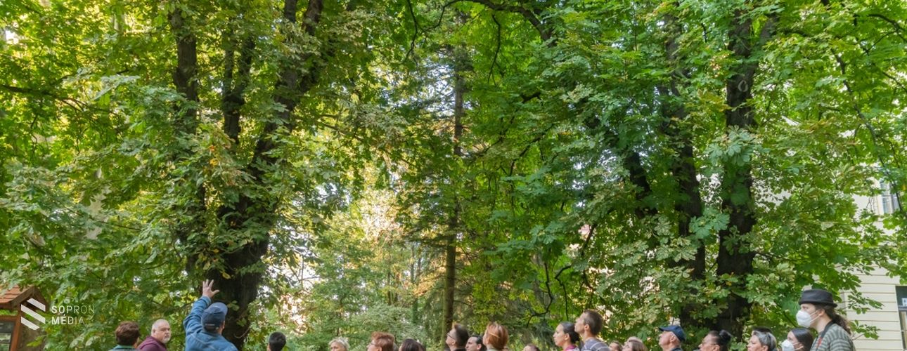 Látogatók emlékeit várja a Soproni Egyetem Botanikus Kertje