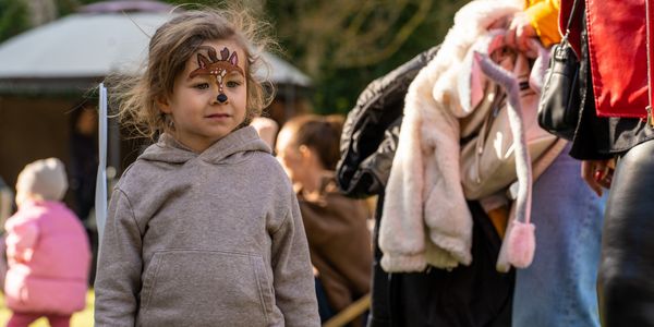 Itt szalad a nyulacska!