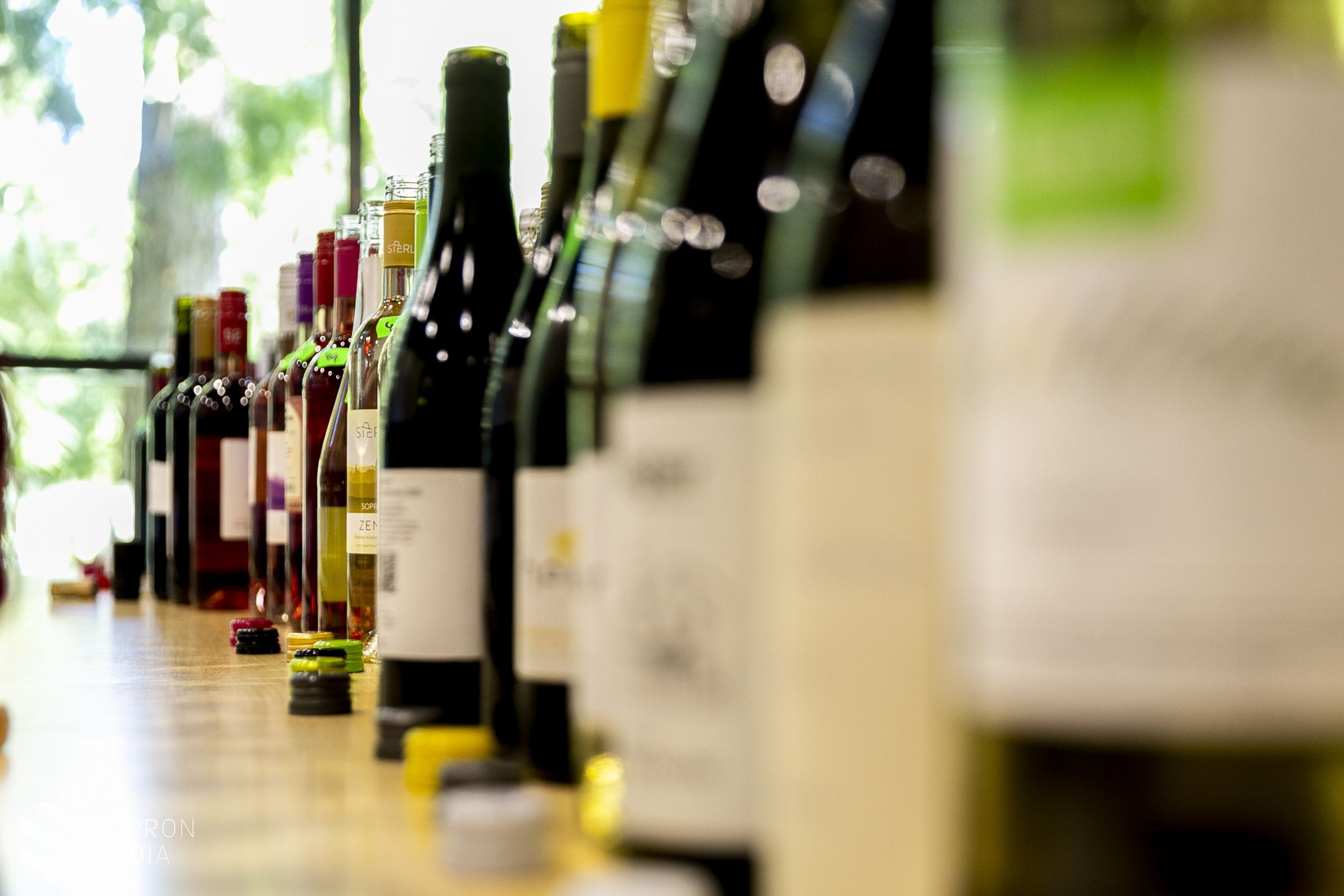 Kiválasztották a Soproni borvidék legjobb borait