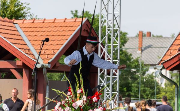 30. Falunap 2019. augusztus 3.