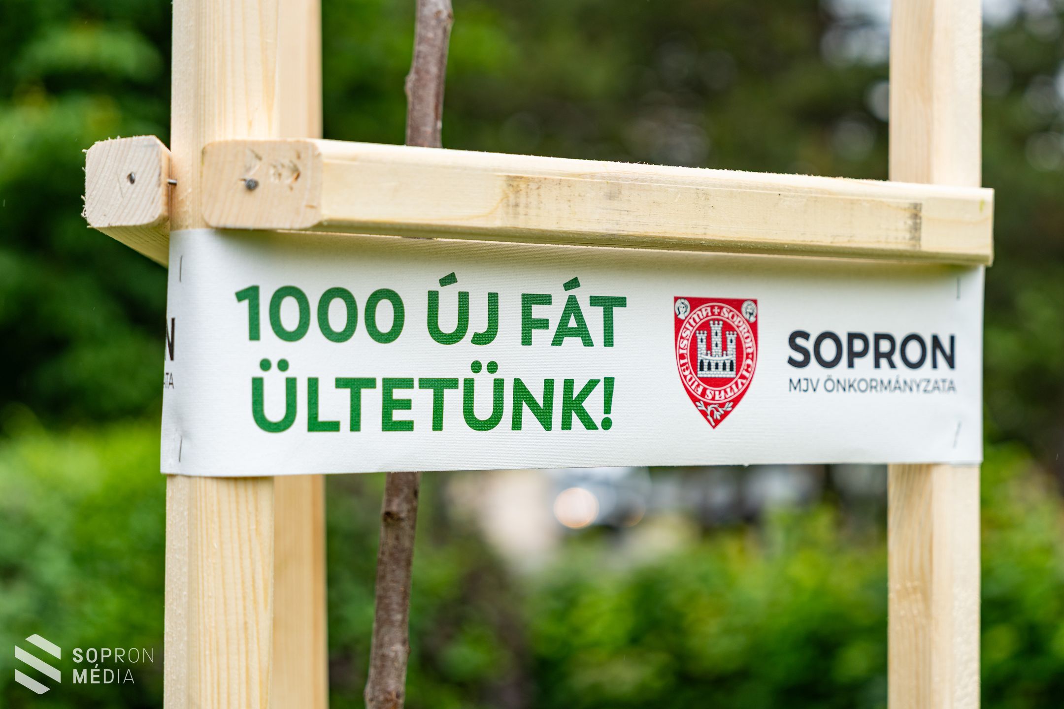Elindult a faültetési program