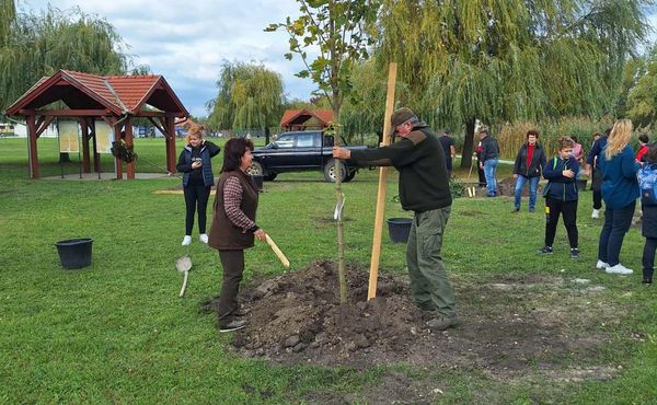 I. KÓNYI CIVIL NAP, 2025. október 11.