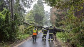 Térségünkben is sok gondot okozott a viharos szél 