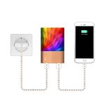 Duracell Powerbank 3350 mAh