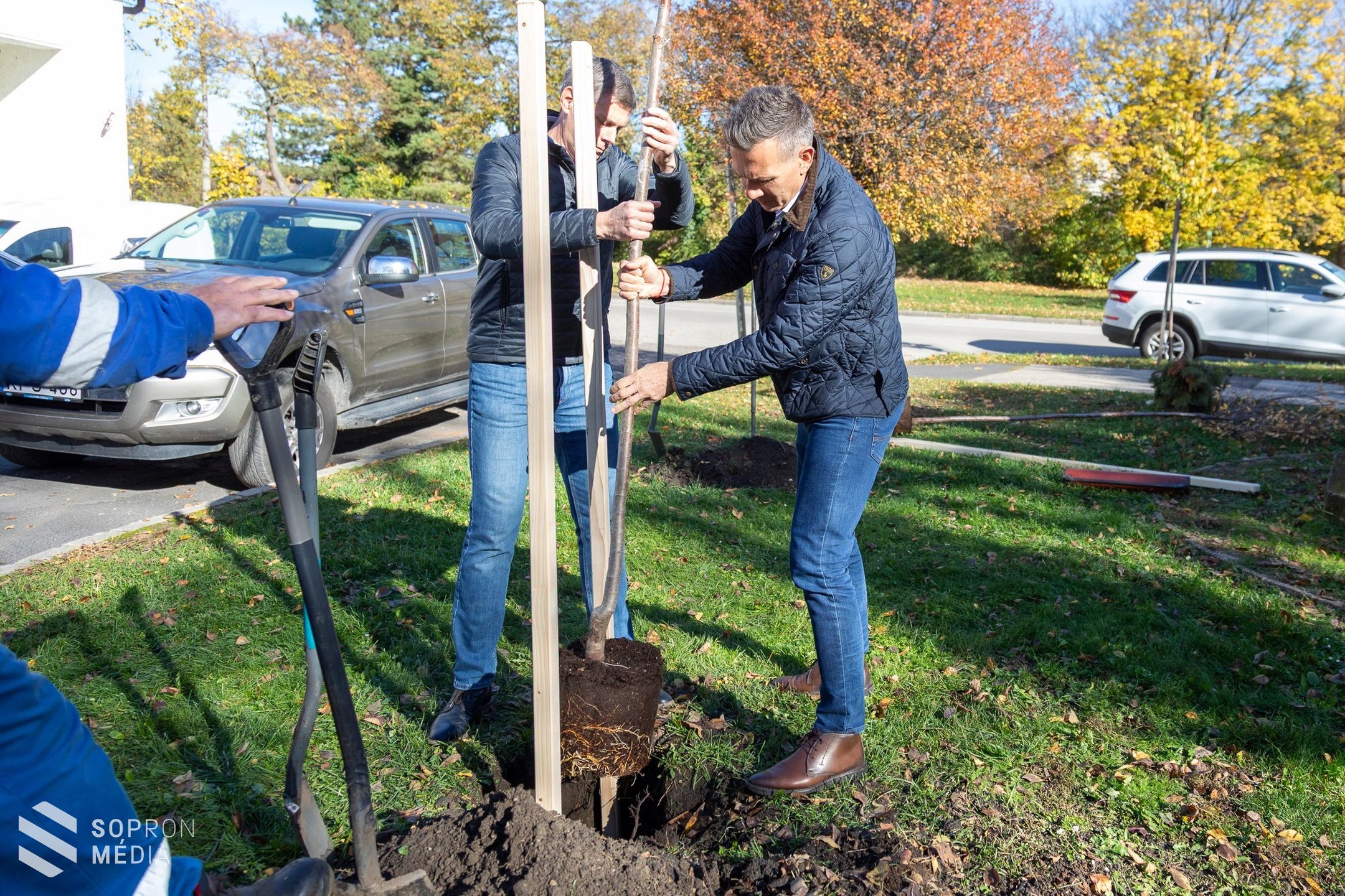 Újabb fákkal gyarapodott az Alsólöverek