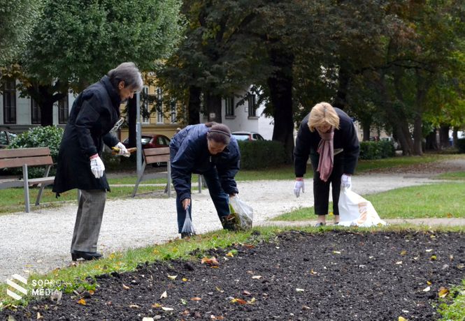 A kis csapat minden szerda délelőtt megkeresi a város legszemetesebb részét, hogy rendet tegyen.