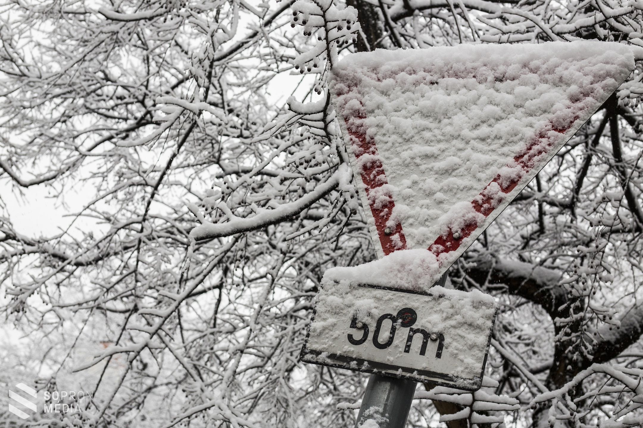 Hóval tért vissza a tél Sopronba