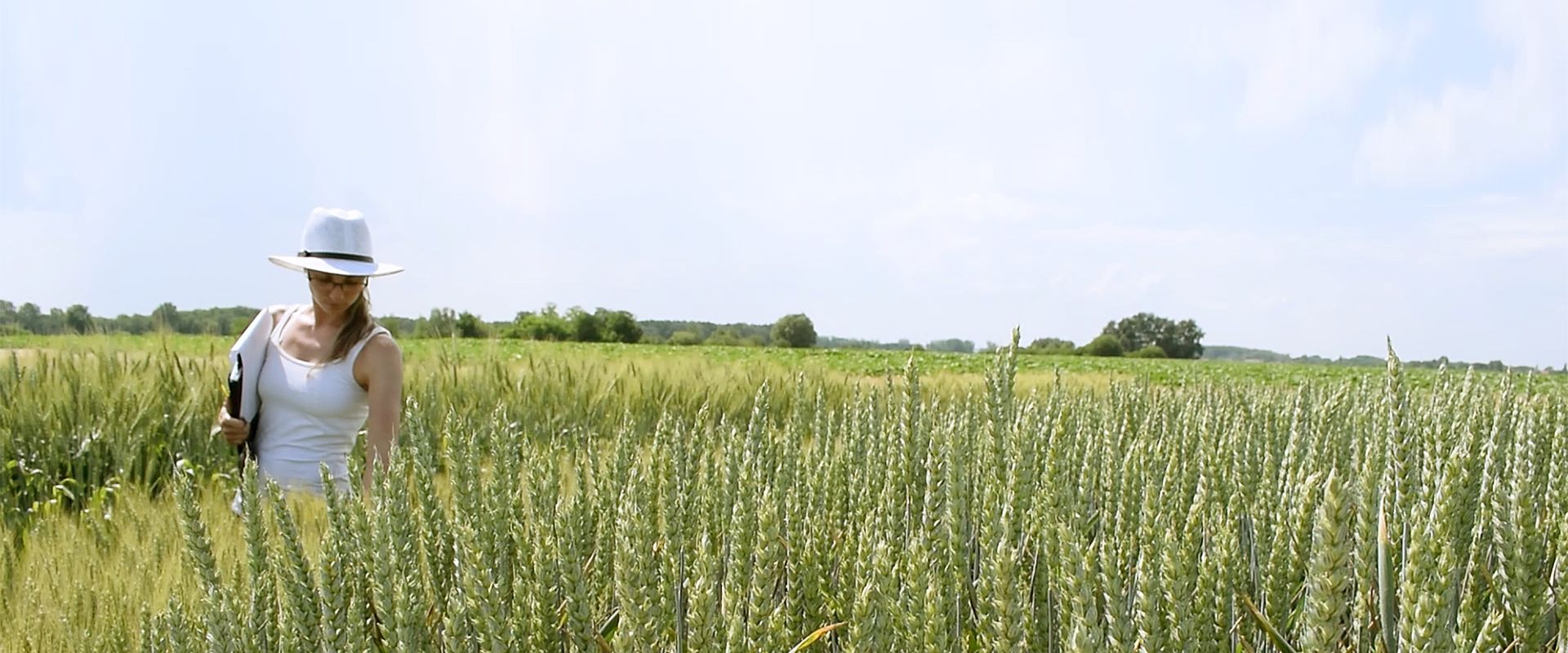 Agrofil-SZMI Kft.
