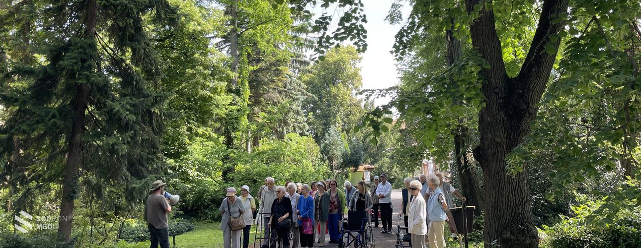 Narancsos illatú fenyők és „Ede” nyomában