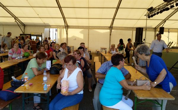 29. Falunap 2018. augusztus 11.