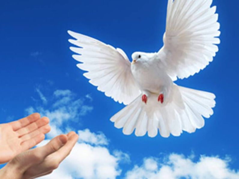 Minden évben egy üzenet: A béke „világnapja” legyen veletek!