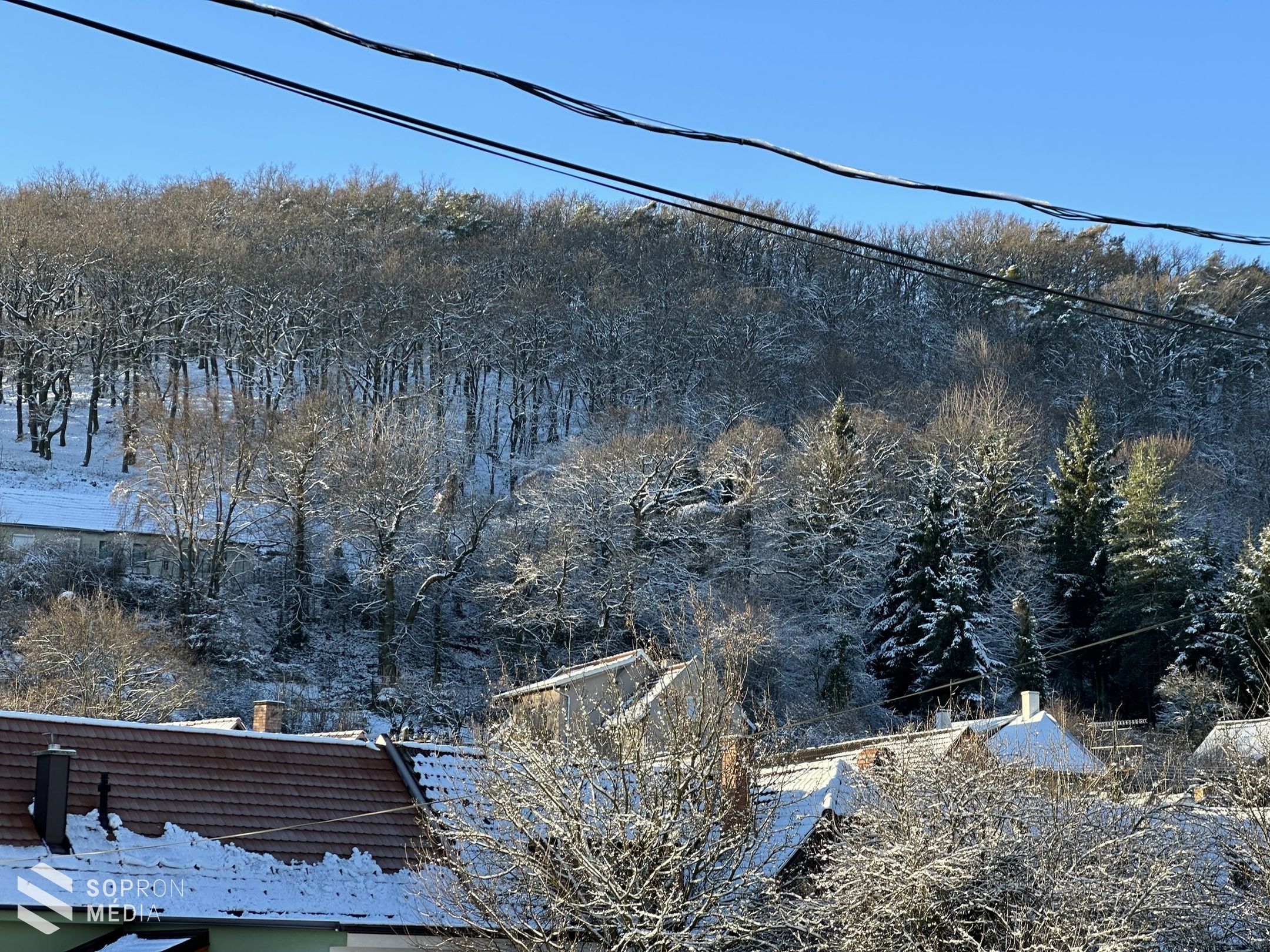„Járd be velünk!” túra a Soproni-hegységben
