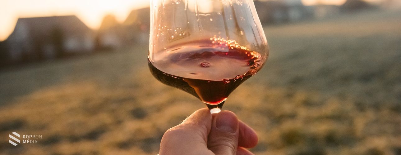 Összefogott a Soproni Borvidék!