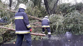 Hidegfront! Fát döntött ki a szél Sopronban