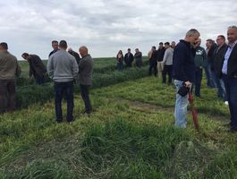 Szántóföldi Takarmánynövények Fajtabemutató 2017 - Paks