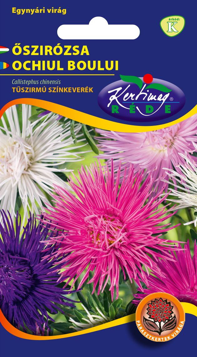 Őszirózsa, Tűszirmú színkeverék 1 g termék képe