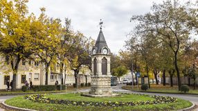 Befejeződött az őszi virágosítás a város közterein