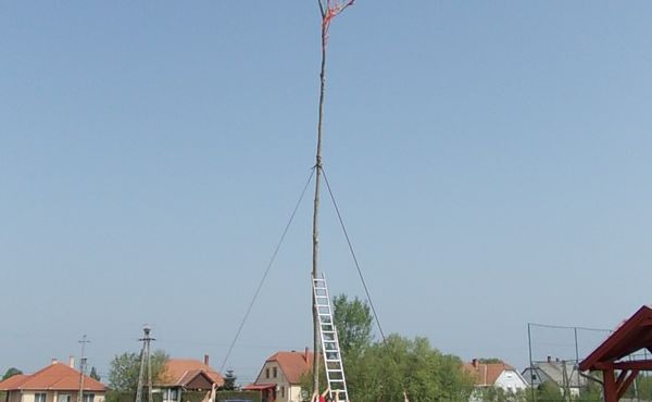 Bikafesztivál és Majális 2013.