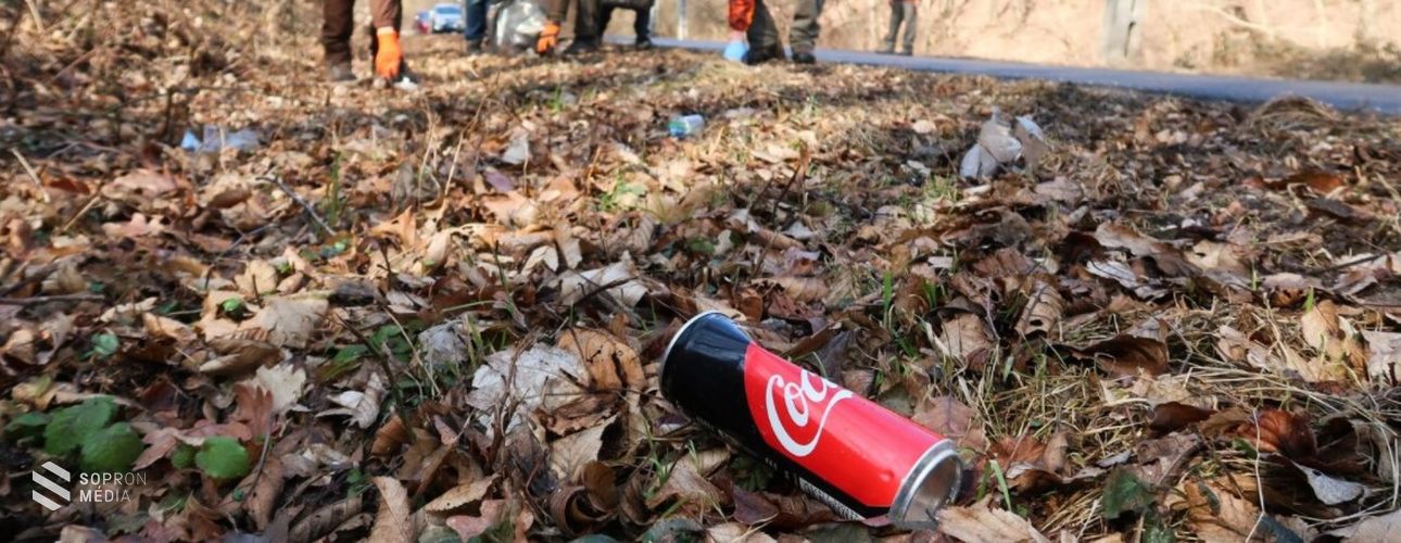 A Tanulmányi Erdőgazdaság Zrt. is csatlakozott a tavaszi nagytakarítás akcióhoz