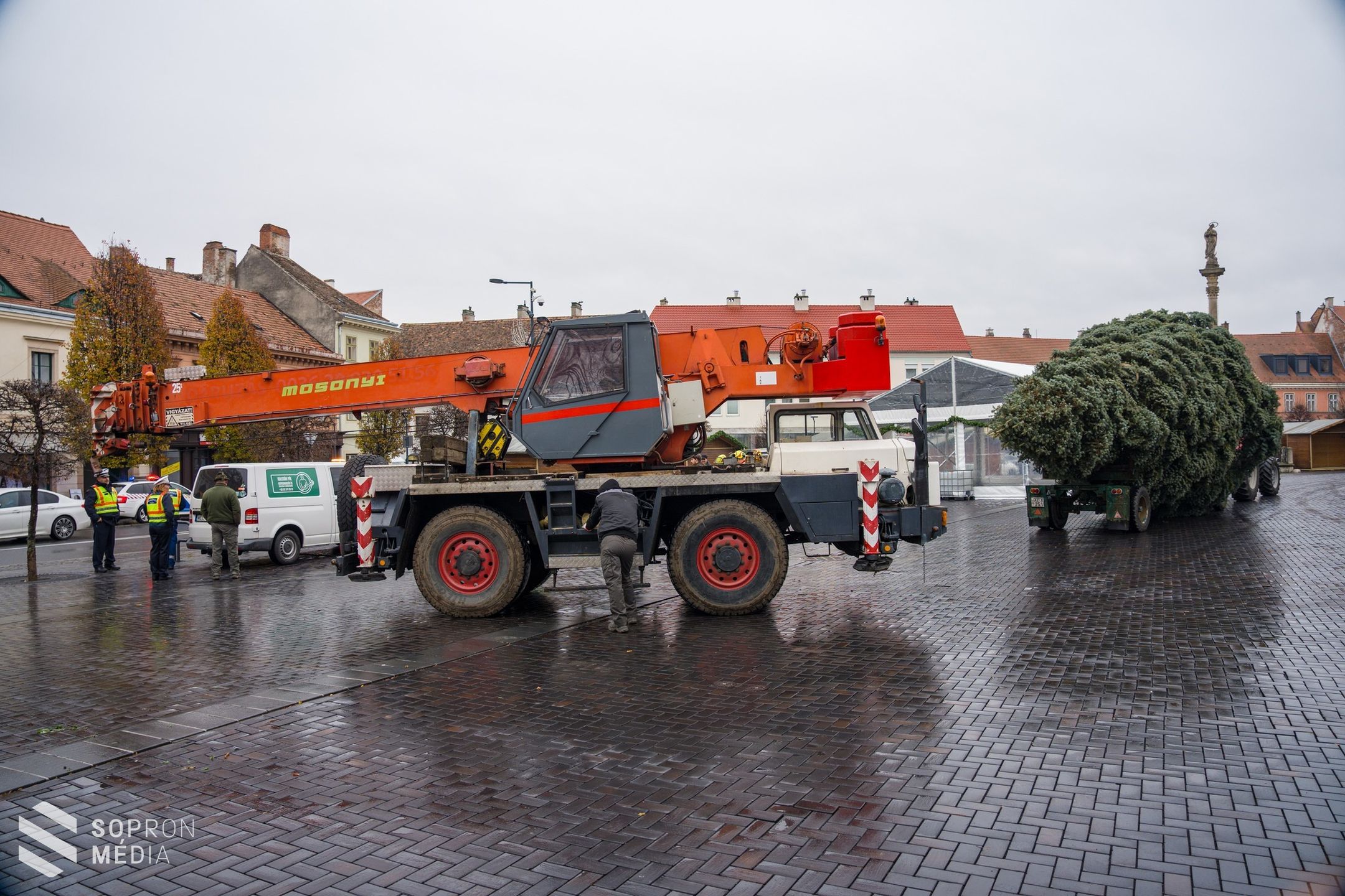 Megérkezett Sopron karácsonyfája