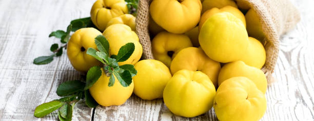 Őszi vitaminbomba: a birsalma