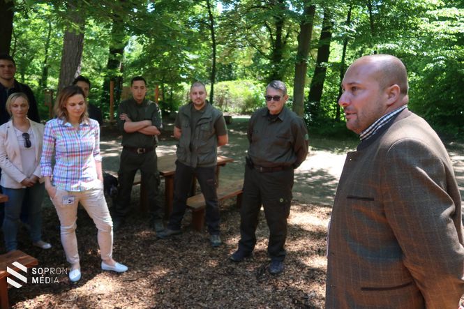 Bánáti László, a Tanulmányi Erdőgazdaság Zrt. parkerdei és kommunikációs igazgatója