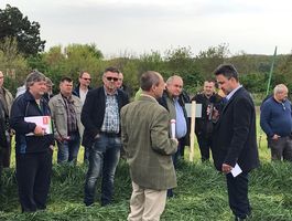 Szántóföldi Takarmánynövények Fajtabemutató 2017 - Paks