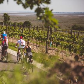 Fedezd fel a Hűség Városát! - Bemutatkoznak a SopronFest túrái