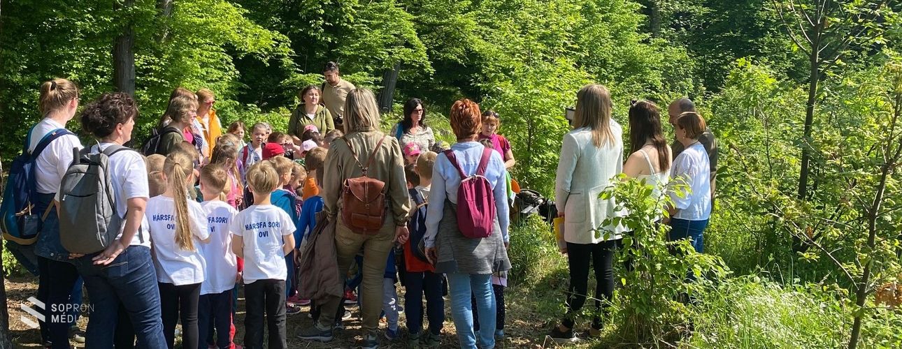 Madarak és fák napja a Soproni Parkerdőben