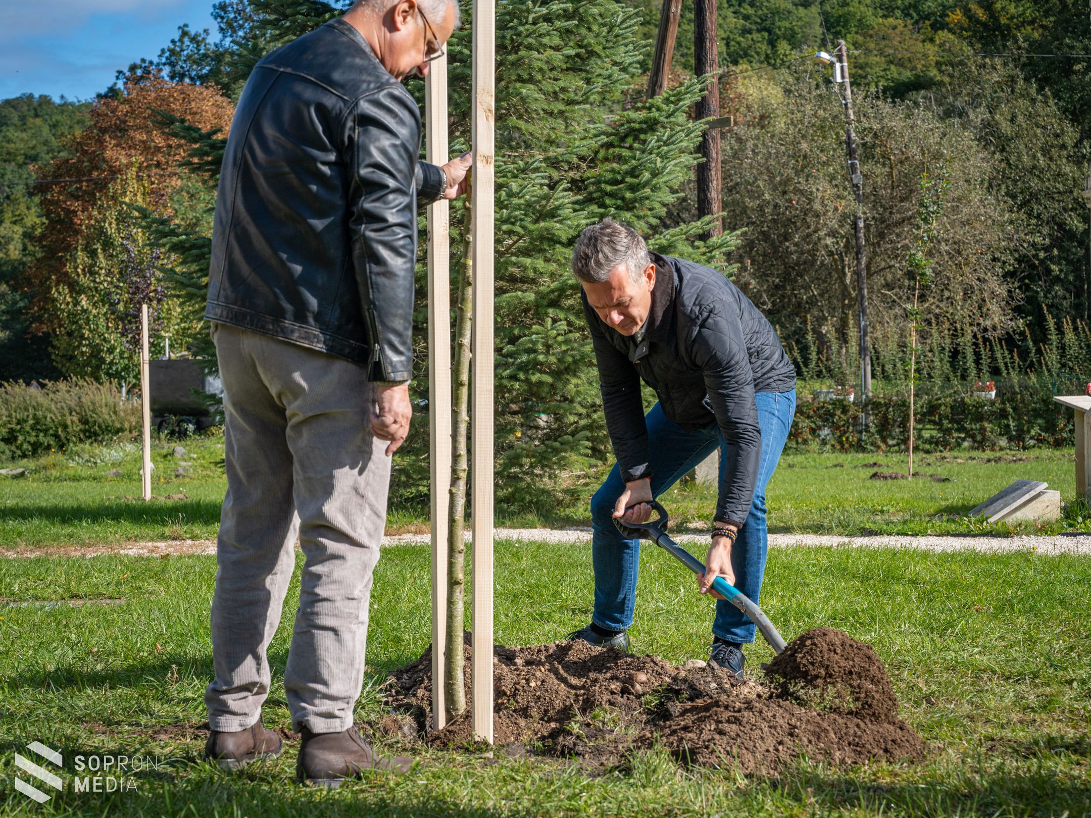 Folytatódik az „1000 új fát ültetünk” projekt
