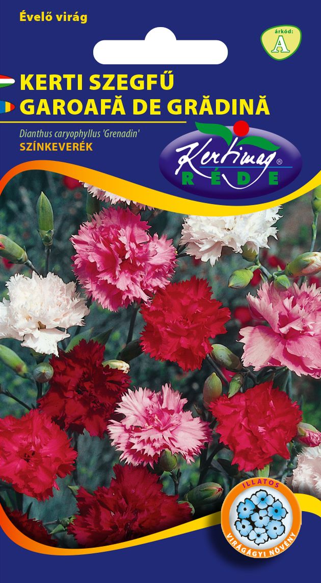 Kerti szegfű  szk. 0,25 g termék képe