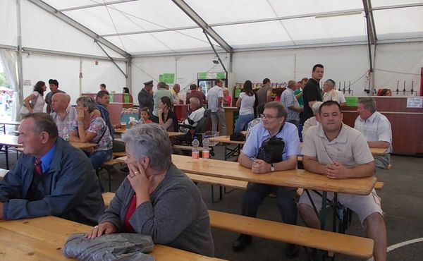 24. Falunap 2013. augusztus 10.