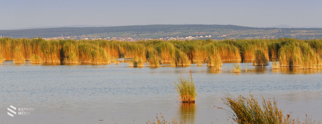 Burgenlandban adják át a természetfilmek Oscar-díját