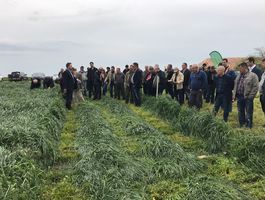 Szántóföldi Takarmánynövények Fajtabemutató 2017 - Paks