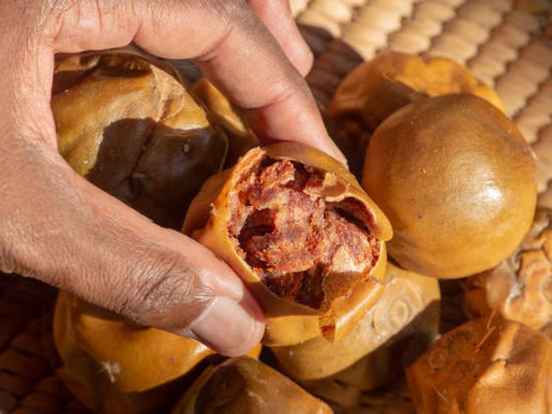 A hideg évszakok gyümölcse, a naspolya