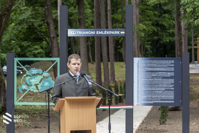 Ábrahám István, a Tanulmányi Erdőgazdaság Zrt. vezérigazgatója