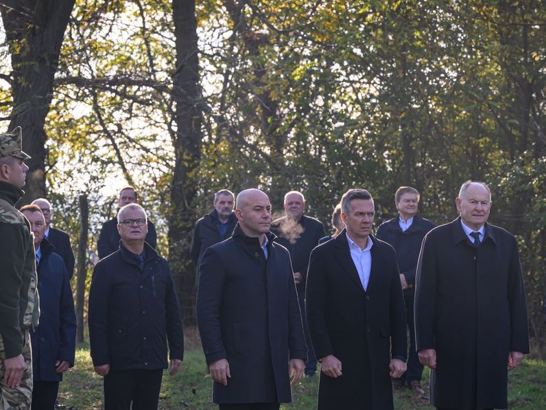 1956 mártírjaira emlékeztek