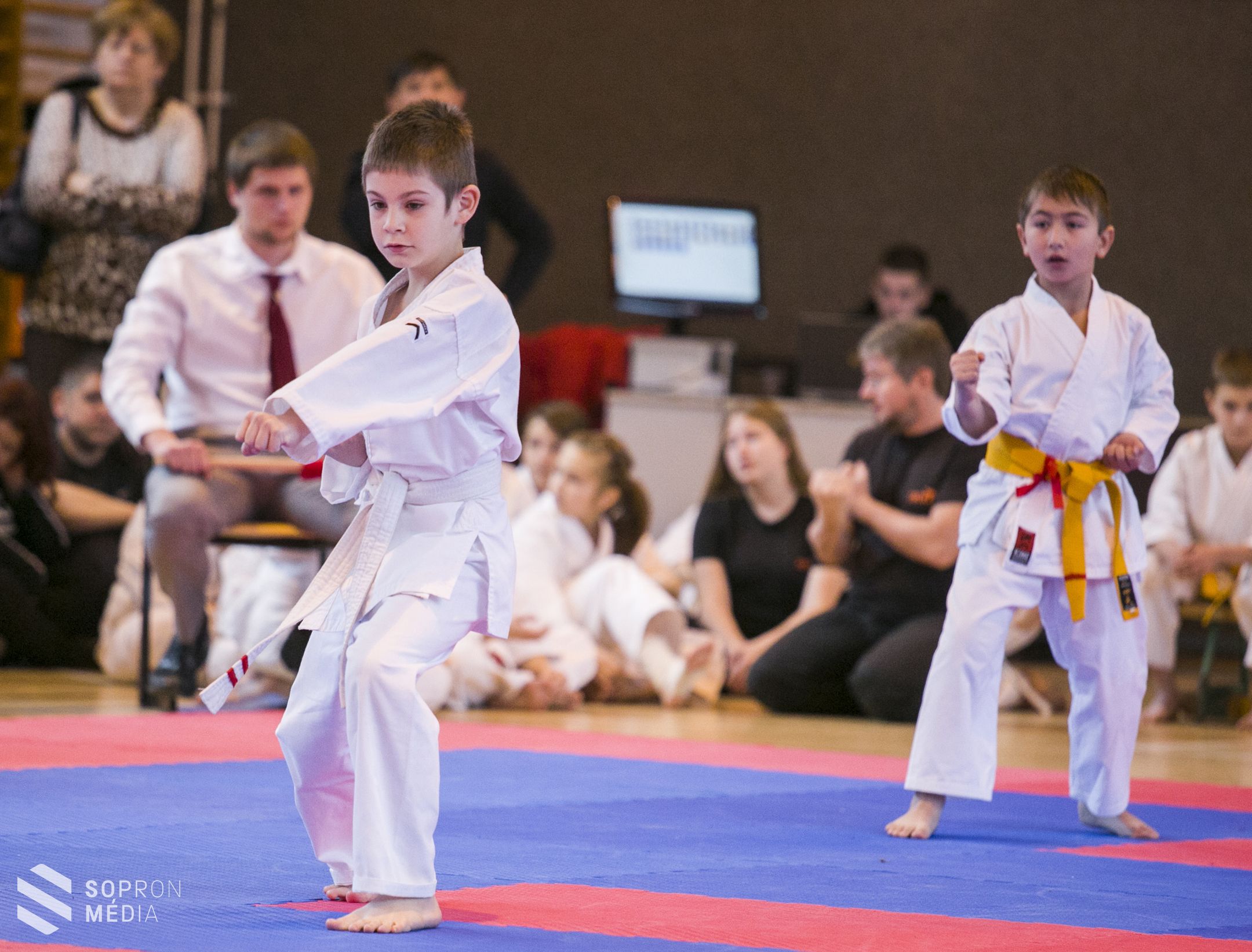 II. Tigrisek Karate Kupa!